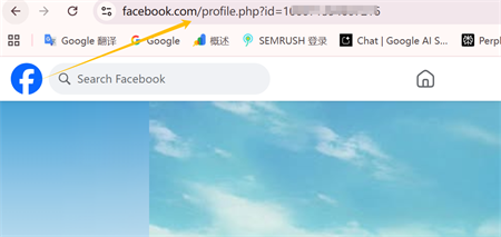 臉書個人資料連結